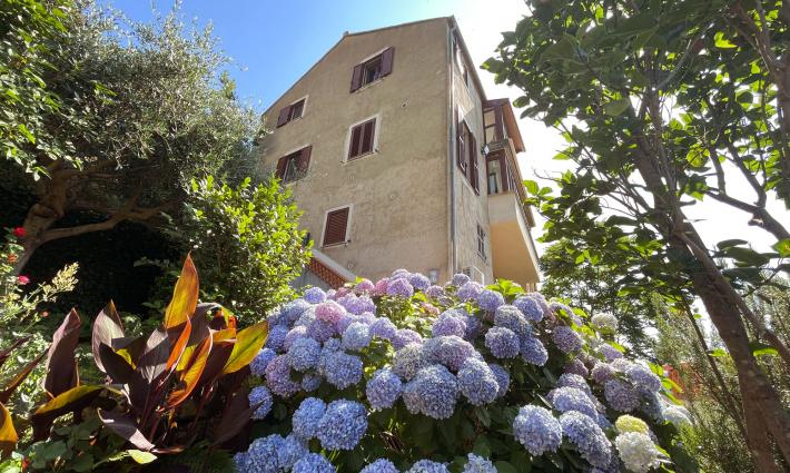 gîte et chambres d'hôtes - Gîtes en Corse