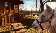Domaine équestre et touristique : un joyau historique au cœur de la Vendée