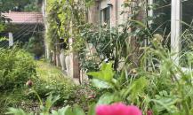 Gîte rentable avec maison d’habitation – Opportunité rare !