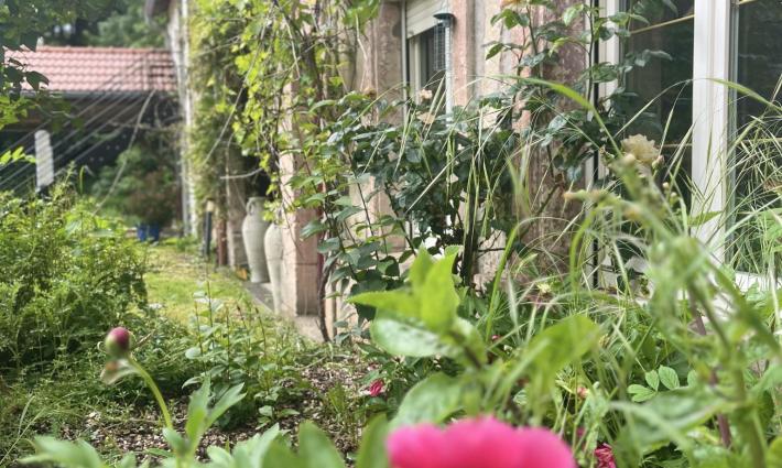 gîte - Gîte rentable avec maison d’habitation – Opportunité rare !