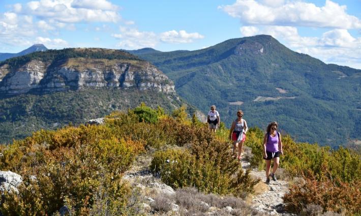 gîte - EXCEPTIONNEL - Camping 4 étoiles au coeur des baronnies provençales