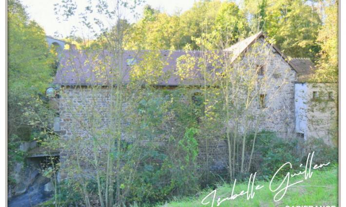 gîte et chambres d'hôtes - Ancien moulin gites et/ou chambres d'hôtes