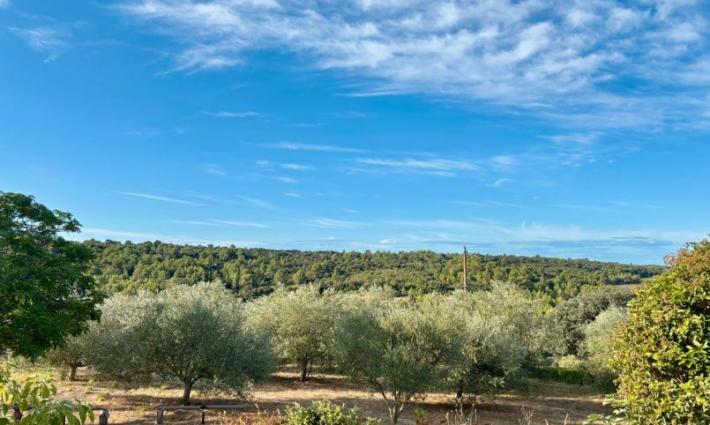 gîte - Propriété d’exception – Plus de 4 hectares avec gîtes et vue panoramique